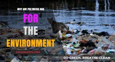 Polymers' Environmental Impact: Uncovering the Hidden Dangers of Plastic Waste