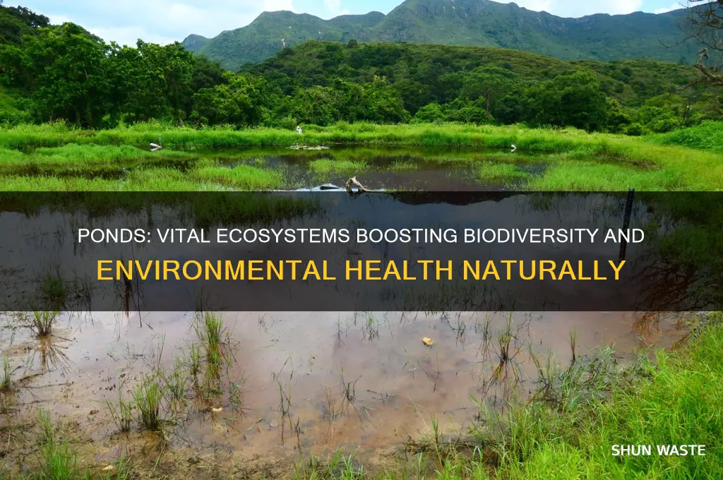 why are ponds good for the environment