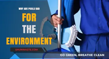 Pools' Hidden Environmental Impact: Water Waste, Chemicals, and Energy Use