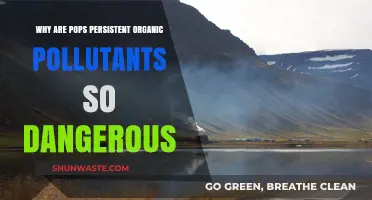 Persistent Organic Pollutants: Unseen Threats to Health and Environment