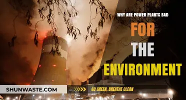 Power Plants' Environmental Impact: Pollution, Climate Change, and Ecosystem Destruction