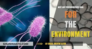 Preservatives' Environmental Impact: Uncovering Hidden Harms in Everyday Products
