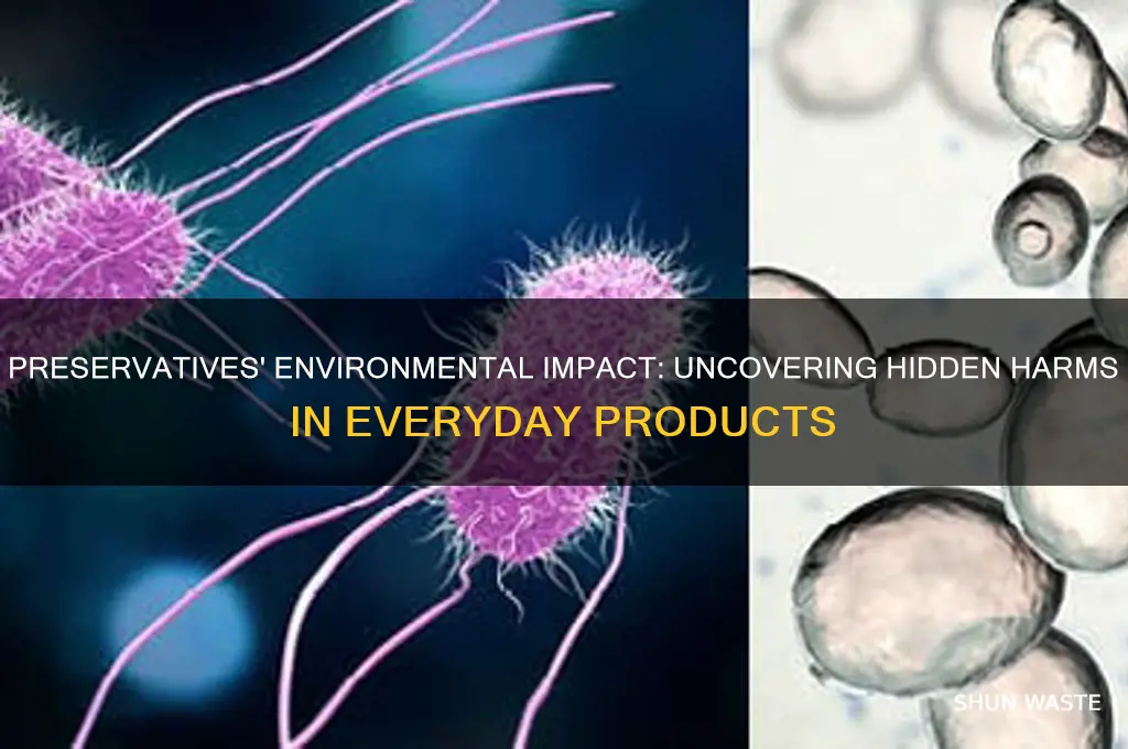 why are preservatives bad for the environment