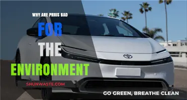Prius Environmental Impact: Uncovering the Hidden Costs of Hybrid Vehicles