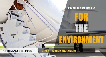 Private Jets' Environmental Impact: Luxury Travel's Hidden Carbon Footprint