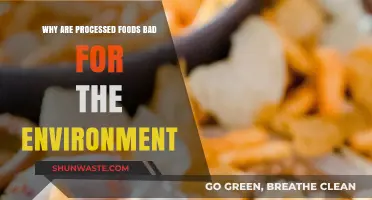 Processed Foods' Hidden Costs: Environmental Impact and Sustainability Concerns