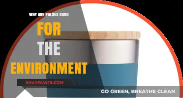Pulses: Eco-Friendly Superfoods for a Sustainable and Healthy Planet