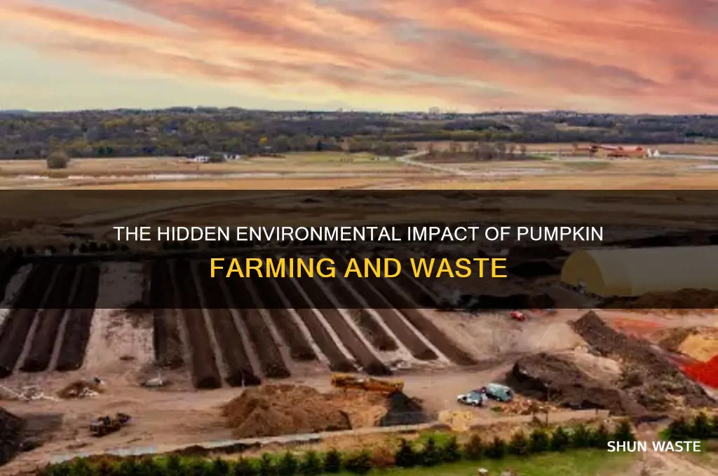 why are pumpkins bad for the environment