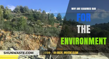 Quarries' Environmental Impact: Destruction, Pollution, and Ecosystem Disruption Explained