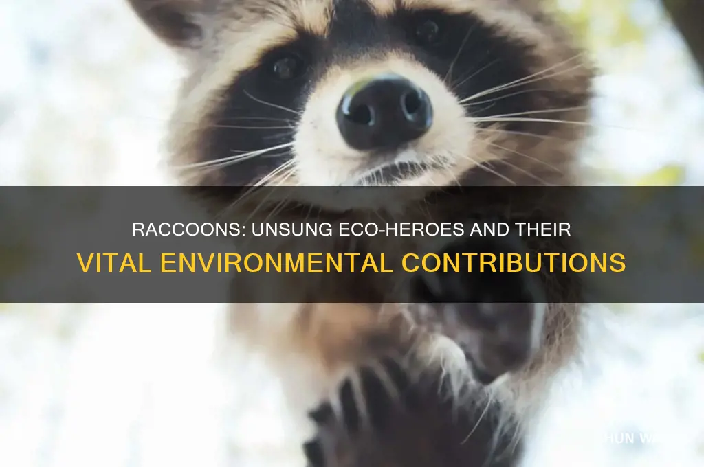 why are raccoons good for the environment