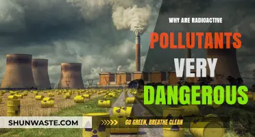 Radioactive Pollutants: Unseen Dangers and Long-Term Environmental Threats
