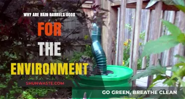 Eco-Friendly Rain Barrels: Sustainable Water Conservation Benefits Explained