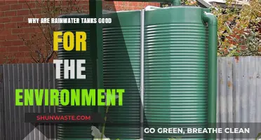 Eco-Friendly Rainwater Tanks: Sustainable Benefits for a Greener Environment
