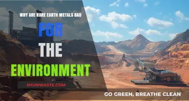 Rare Earth Metals' Environmental Impact: Uncovering the Hidden Ecological Costs