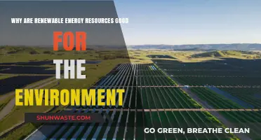 Renewable Energy: Environmental Benefits and Sustainable Future Explained