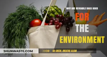 Eco-Friendly Choices: How Reusable Bags Benefit Our Planet