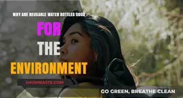 Eco-Friendly Hydration: How Reusable Water Bottles Benefit Our Planet