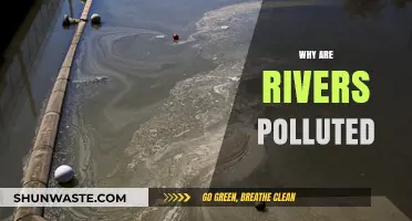 Why Are Rivers Polluted? Causes, Impacts, and Solutions Explained