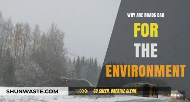 Roads' Environmental Impact: How Infrastructure Harms Ecosystems and Climate