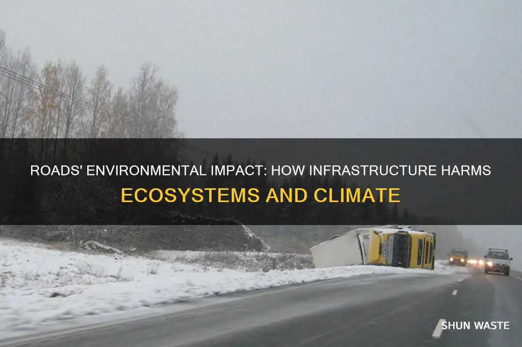 why are roads bad for the environment