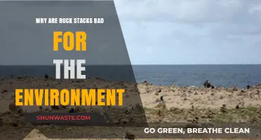Rock Stacks: Harmful Environmental Impact and Ecosystem Disruption Explained