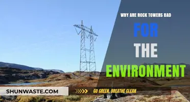 Rock Towers' Environmental Impact: Harming Ecosystems and Wildlife Habitats