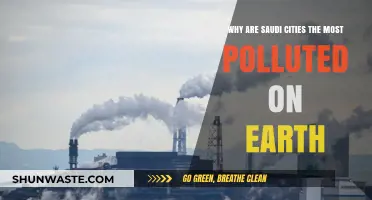 Saudi Cities: Unveiling the Alarming Pollution Crisis and Its Causes