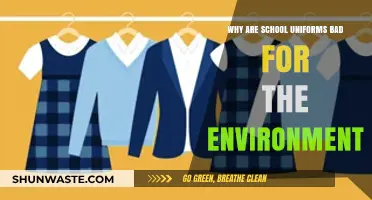 School Uniforms' Environmental Impact: Unsustainable Practices and Hidden Costs