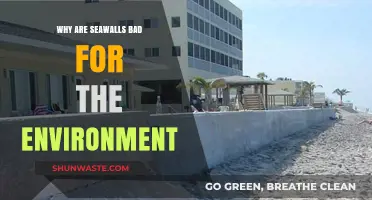 Seawalls' Environmental Impact: Eroding Coastlines and Harming Ecosystems