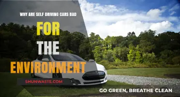 Self-Driving Cars' Hidden Environmental Costs: A Critical Analysis