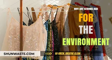 Sequins' Hidden Cost: How Sparkles Harm Our Environment
