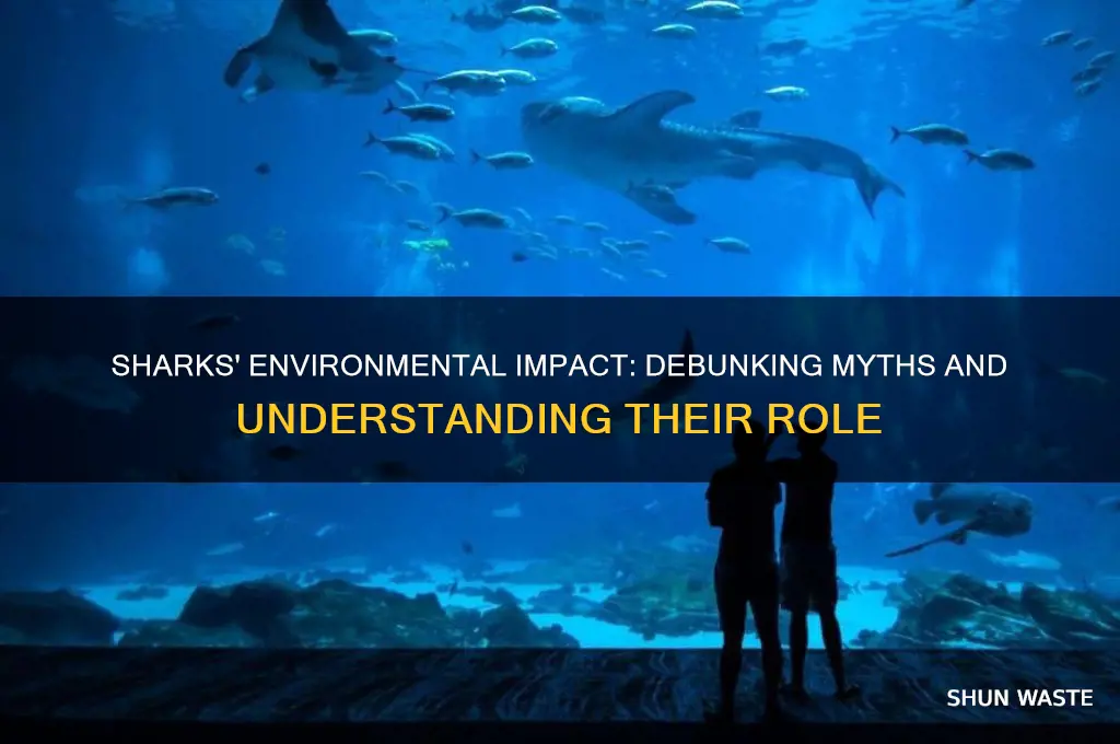 why are sharks bad for the environment