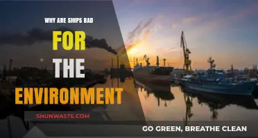 Ships' Environmental Impact: Pollution, Wildlife Threats, and Climate Concerns