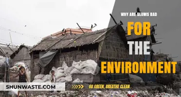 Slums' Environmental Impact: Pollution, Waste, and Unsustainable Living Conditions