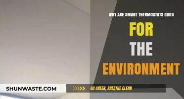 Eco-Friendly Heating: Smart Thermostats' Green Impact on Our Planet