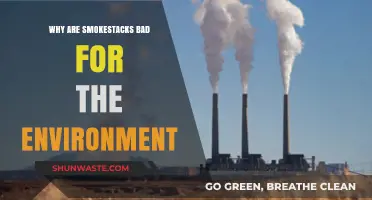 Smokestacks' Environmental Impact: Pollution, Climate Change, and Health Hazards