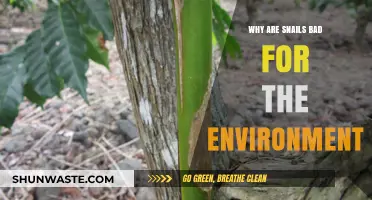 Snails' Environmental Impact: Uncovering Their Harmful Effects on Ecosystems