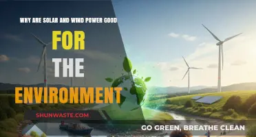 Solar and Wind Power: Clean Energy Solutions for a Greener Future