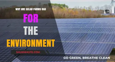 Solar Farms' Hidden Environmental Costs: Land Use, Wildlife, and More