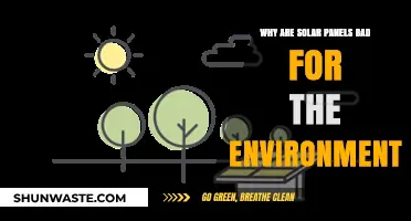 Solar Panels' Hidden Environmental Costs: What You Need to Know
