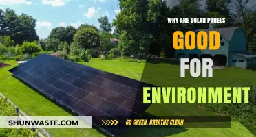 Solar Panels: Eco-Friendly Energy Solutions for a Greener Future