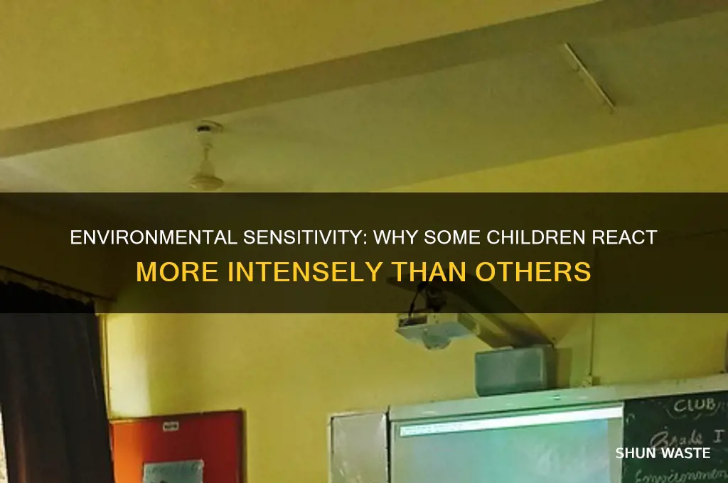 why are some children more affected by environment than others