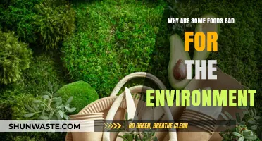 Eco-Unfriendly Eats: How Certain Foods Harm Our Planet