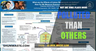 Unequal Air Quality: Exploring Factors Behind Pollution Disparities Across Regions
