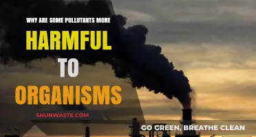 Toxic Truths: Unveiling the Deadliest Pollutants and Their Impact