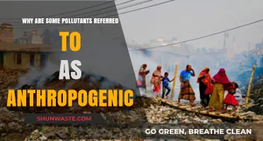 Human-Caused Pollution: Understanding Anthropogenic Pollutants and Their Impact