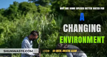 Adapt or Perish: Unlocking the Secrets of Resilient Species' Survival