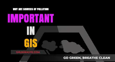 Understanding Pollution Sources: GIS Mapping for Environmental Impact Analysis