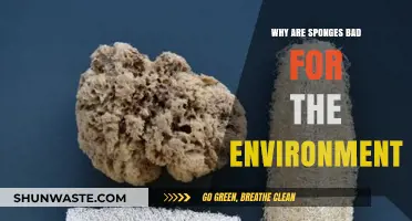 Sponges' Hidden Environmental Impact: Uncovering Their Harmful Ecological Footprint