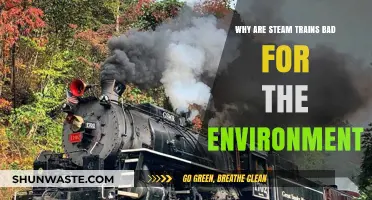Steam Trains' Environmental Impact: Pollution, Inefficiency, and Historical Legacy